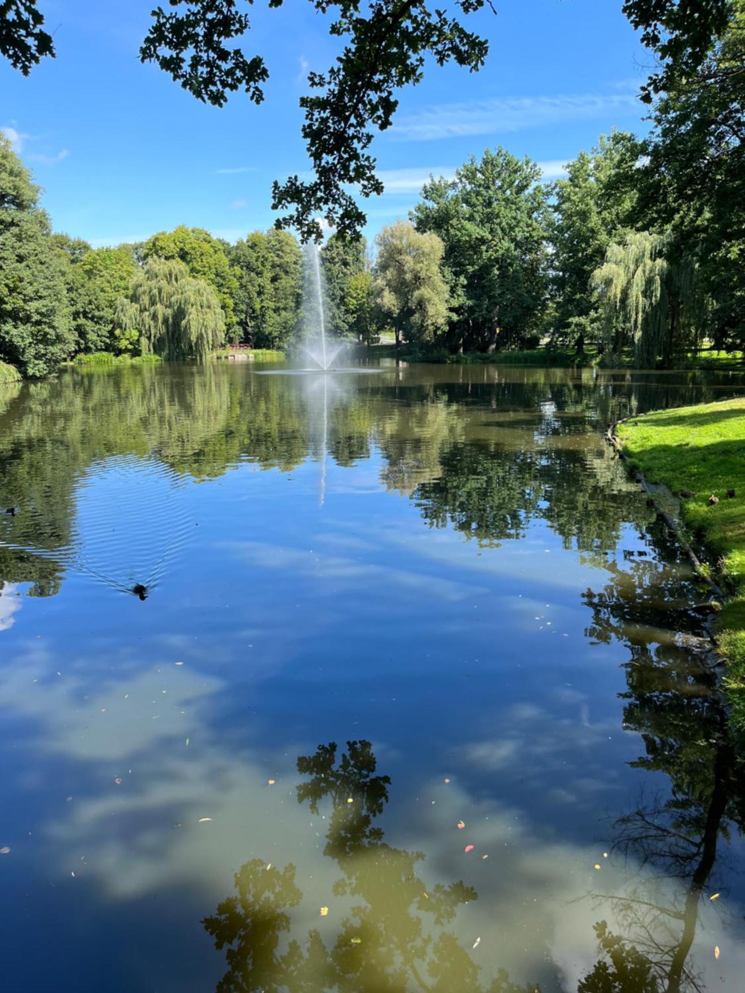 ילנייה גורה Sweet Home Cieplice Mountain View Apartament By The Main Park And Thermal Pools מראה חיצוני תמונה